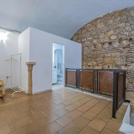 Apartment Luxury Cister Duplex