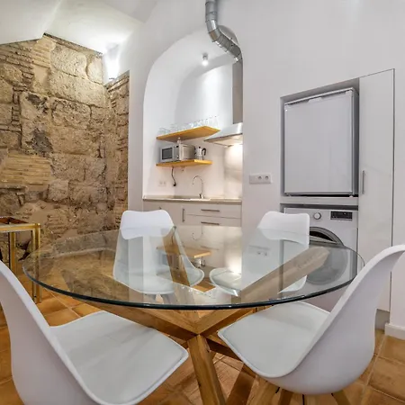 Apartment Luxury Cister Duplex *